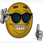 Flepiss's Avatar'