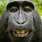 BARTO.exe.'s Avatar'