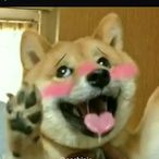 Sixgodax's Avatar'