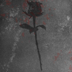 Doc.Straange's Avatar'