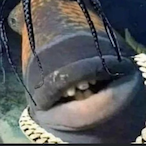 Hasan_einstein69's Avatar'