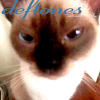 i luv jdms's Avatar'