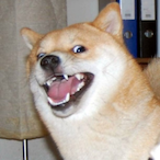 PR_Void.'s Avatar'