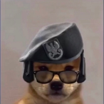 idiotPenguin925's Avatar'