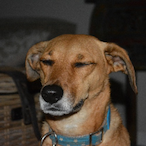 temp-0491478882's Avatar'