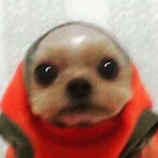 raiomakuyn's Avatar'