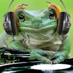 Raclstspider's Avatar'