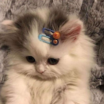 GodKkyul's Avatar'