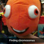 GE0FFME1STER's Avatar'