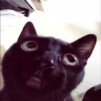 isaacpc_'s Avatar'