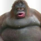 monkekew's Avatar'