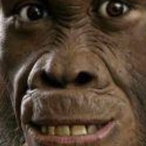 DrLordDragon's Avatar