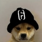 Geschlupft's Avatar'