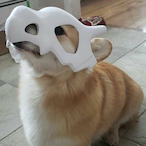 ChaoticSwarm602's Avatar'