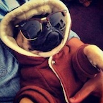 WasabiKG's Avatar'