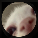 ewelina_a123's Avatar'