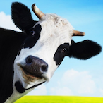 Alternxtive_'s Avatar'