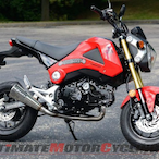 MajorBingBong's Avatar'