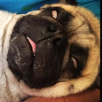 LEONEL_WOLFT's Avatar'