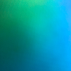 Ya_BasicFOOL's Avatar'