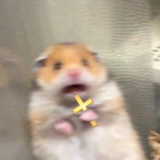lJaysReignl's Avatar'