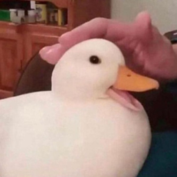 bruhJ4ME