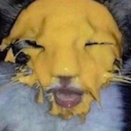 ThisIs_UltraBunk's Avatar'