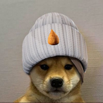 Gordincoxinha's Avatar'
