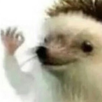 MoldyBeefStick's Avatar'