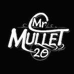 MrMullet20's Avatar'