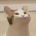 OliverClozehof.'s Avatar'