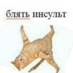 enough_'s Avatar'