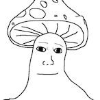 Lotokka's Avatar'
