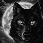 KINGWOLF360's Avatar'