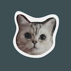AwwfulGuy__'s Avatar'