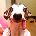 igetchally's Avatar'