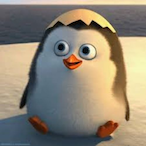 DeerQu's Avatar'