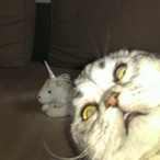 Frantilupa's Avatar'