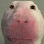 Th3Gasmonkey682's Avatar'