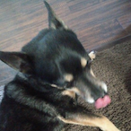 HonestEngineer-'s Avatar'