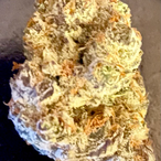 HIGHHALO8869's Avatar'