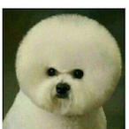 Off dat MD's Avatar'