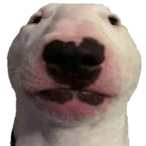 HomingSimper12's Avatar'