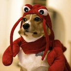 FruitySmurf2517's Avatar'