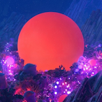 OzamaBinB0mb1n's Avatar'