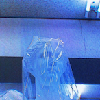 Zenflower.-'s Avatar'