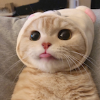 SYheeee's Avatar'