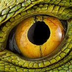 KRaZeDASSsassIN's Avatar'