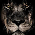 RaRi_JesusFistus's Avatar'