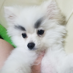 Tszchunnn's Avatar'